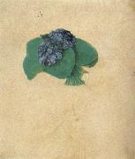 Albrecht Durer A Nosegay of Violets USA oil painting artist